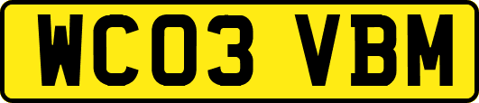 WC03VBM