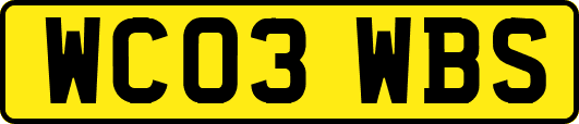 WC03WBS