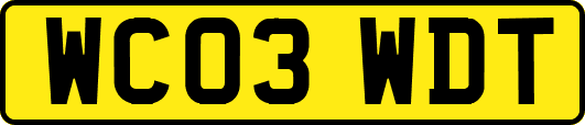 WC03WDT