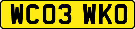 WC03WKO