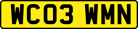 WC03WMN