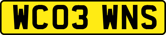 WC03WNS