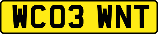 WC03WNT