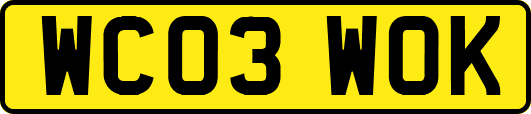 WC03WOK