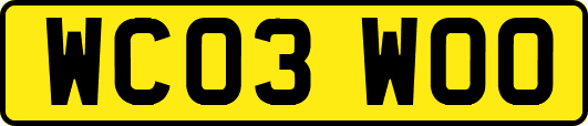 WC03WOO