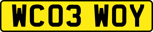 WC03WOY