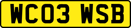 WC03WSB