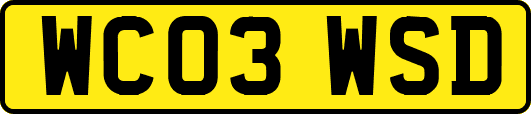 WC03WSD