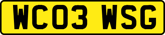 WC03WSG