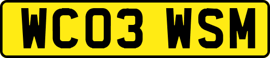 WC03WSM