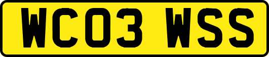 WC03WSS