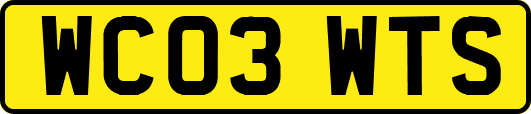 WC03WTS