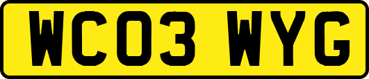 WC03WYG
