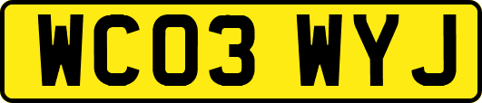 WC03WYJ