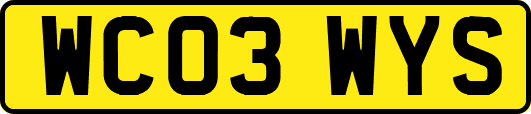 WC03WYS