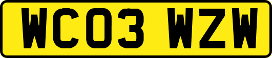 WC03WZW