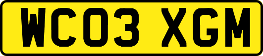 WC03XGM