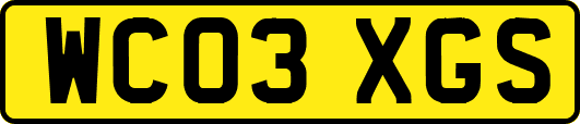 WC03XGS