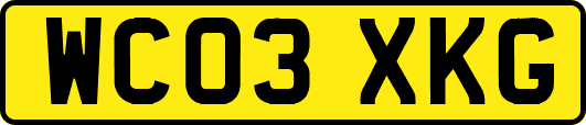 WC03XKG