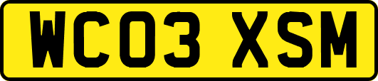 WC03XSM