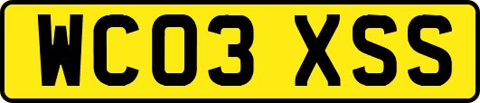 WC03XSS