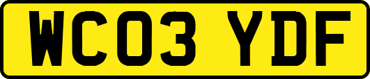 WC03YDF