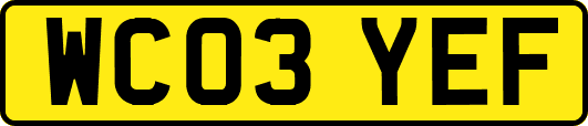 WC03YEF