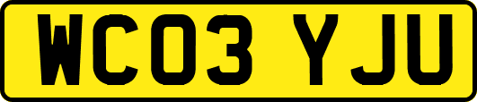 WC03YJU