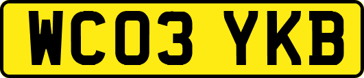 WC03YKB
