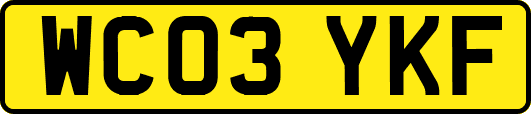 WC03YKF