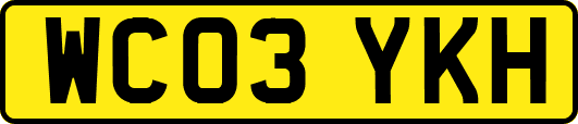 WC03YKH