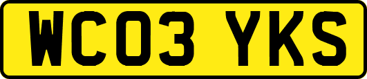 WC03YKS
