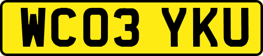 WC03YKU