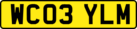 WC03YLM