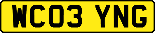 WC03YNG