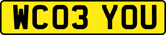 WC03YOU