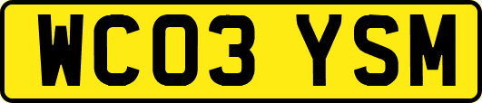 WC03YSM