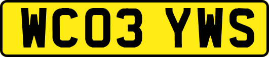 WC03YWS