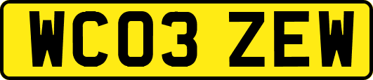 WC03ZEW