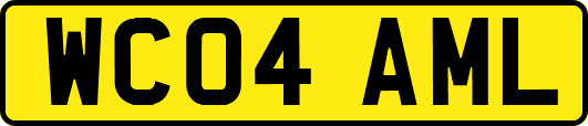 WC04AML