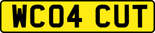 WC04CUT