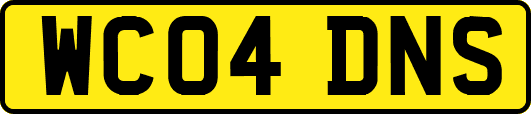 WC04DNS
