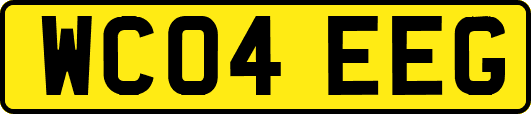 WC04EEG