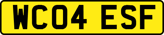 WC04ESF