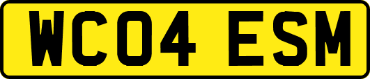 WC04ESM