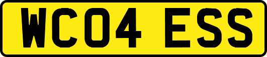 WC04ESS