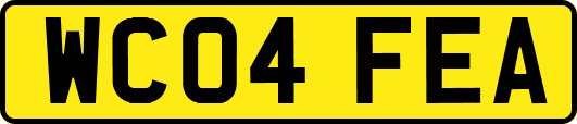 WC04FEA