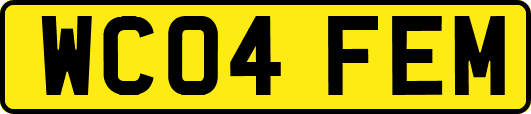 WC04FEM