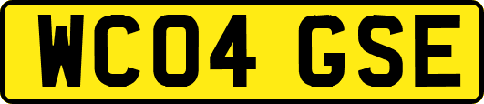 WC04GSE