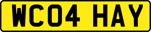 WC04HAY
